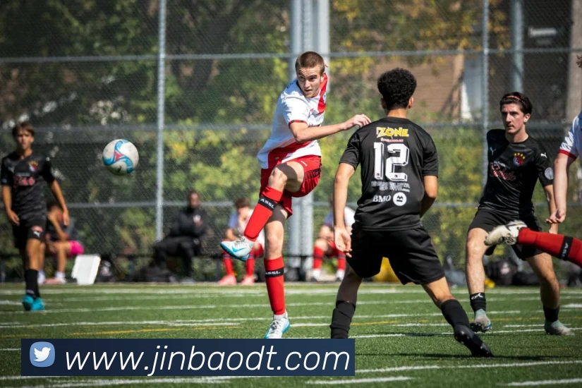 九游体育平台生态图